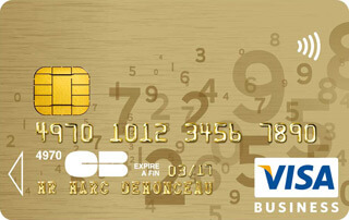 Visa Gold Business Class