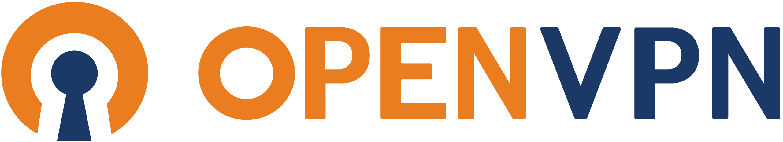 Logo OpenVPN