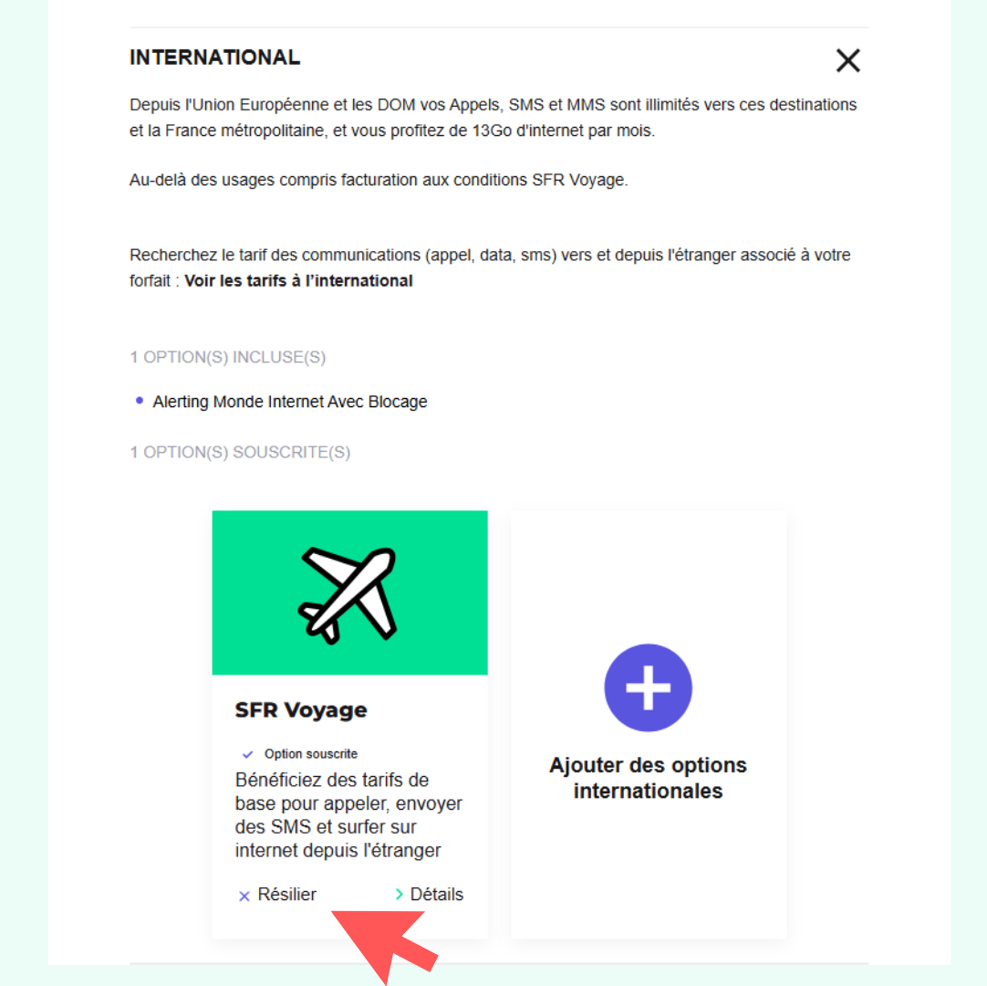 Résilier ses options sur l'espace client RED